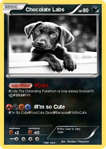 Pokemon Chocolate Labs