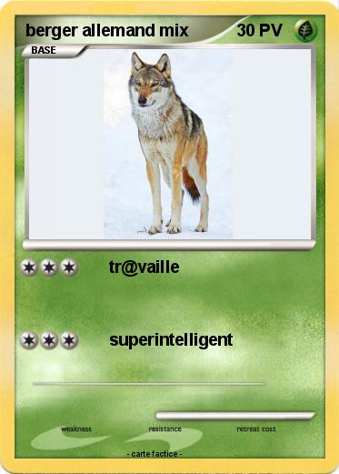 Pokemon berger allemand mix