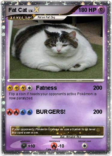 Pokemon Fat Cat