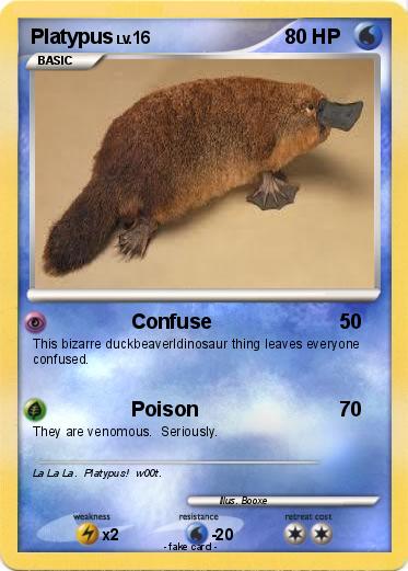Pokemon Platypus