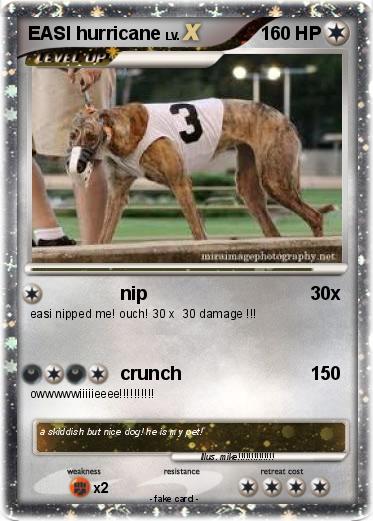 Pokemon EASI hurricane