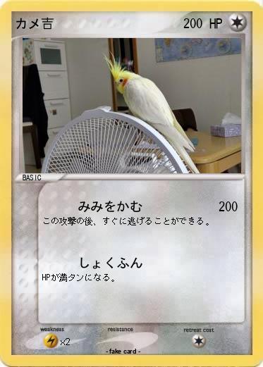 Pokemon カメ吉