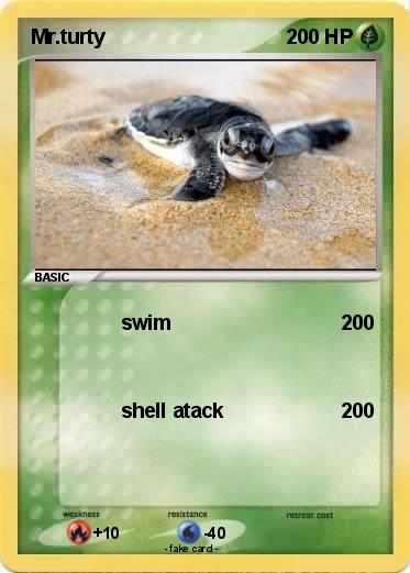 Pokemon Mr.turty