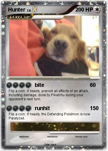 Pokemon Hunter