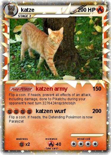 Pokemon katze