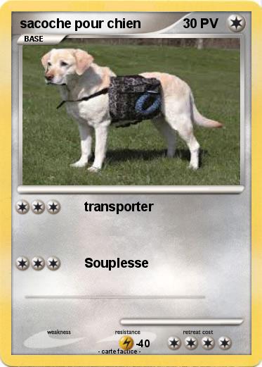 Pokemon sacoche pour chien