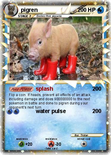 Pokemon pigren