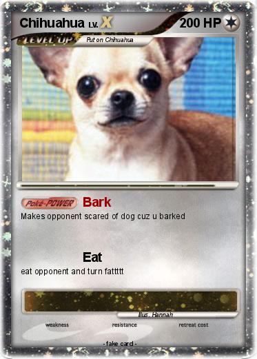 Pokemon Chihuahua