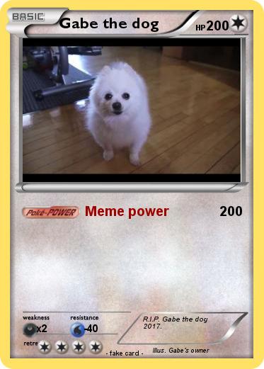 Pokemon Gabe the dog