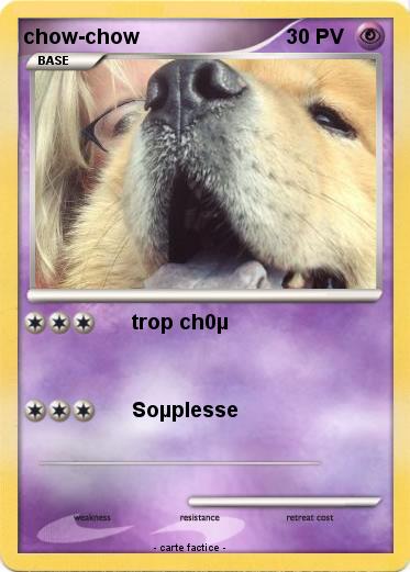 Pokemon chow-chow