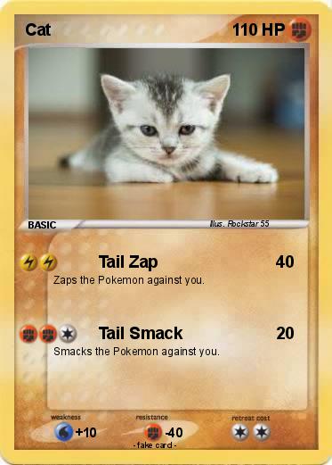 Pokemon Cat