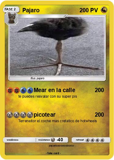 Pokemon Pajaro