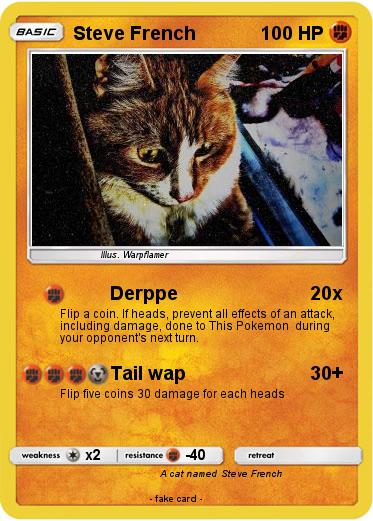 Pokemon Steve French