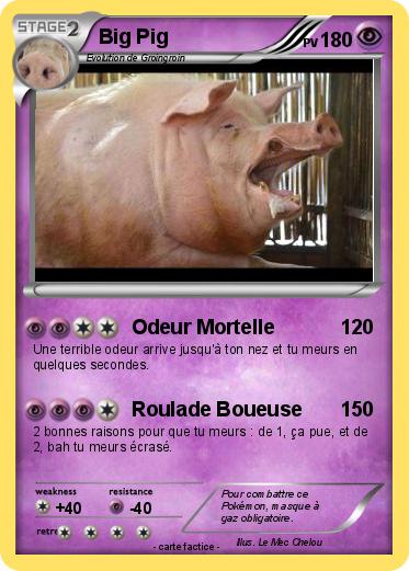 Pokemon Big Pig