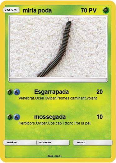 Pokemon miria poda