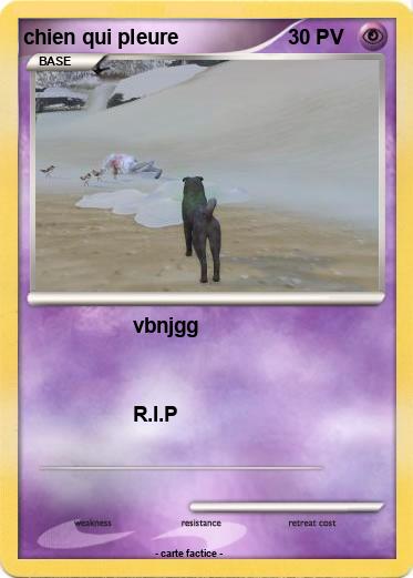 Pokemon chien qui pleure