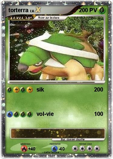 Pokemon torterra