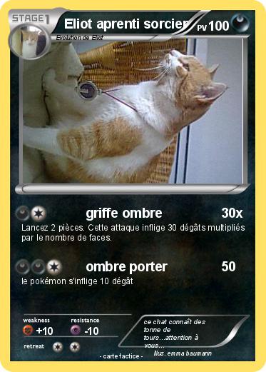 Pokemon Eliot aprenti sorcier
