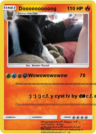 Pokemon Doooooooooog