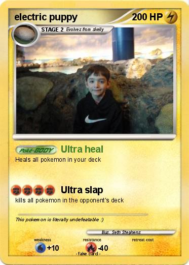 Pokemon electric puppy