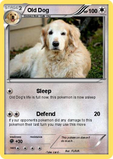Pokemon Old Dog