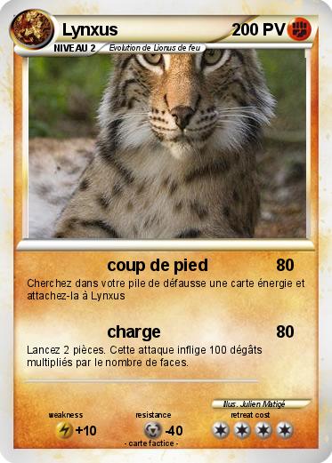 Pokemon Lynxus