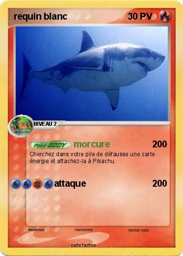 Pokemon requin blanc