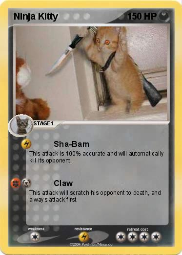 Pokemon Ninja Kitty