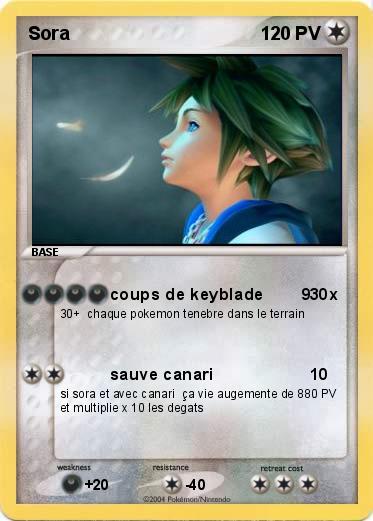 Pokemon Sora
