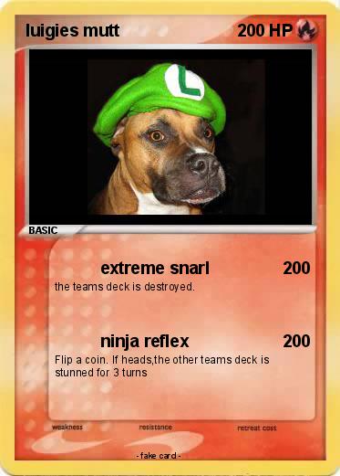Pokemon luigies mutt