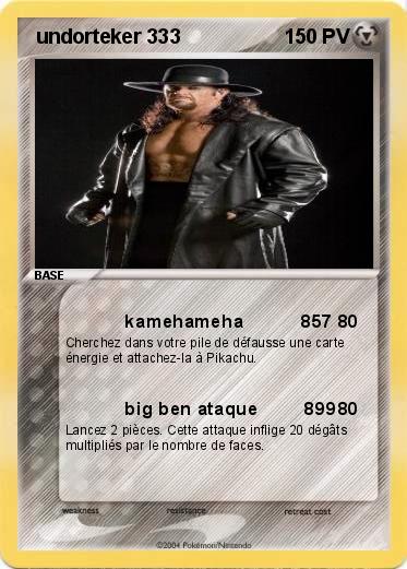 Pokemon  undorteker 333 