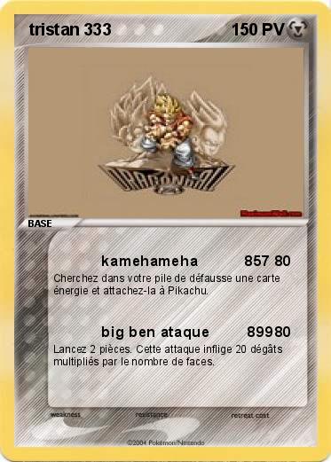 Pokemon  tristan 333 