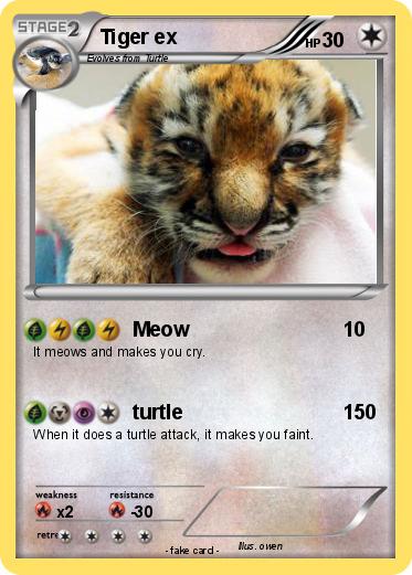 Pokemon Tiger ex