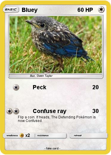 Pokemon Bluey