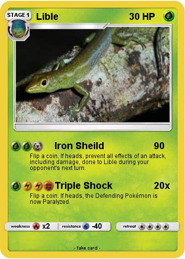 Pokemon Lible