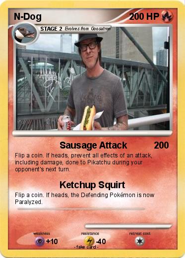 Pokemon N-Dog