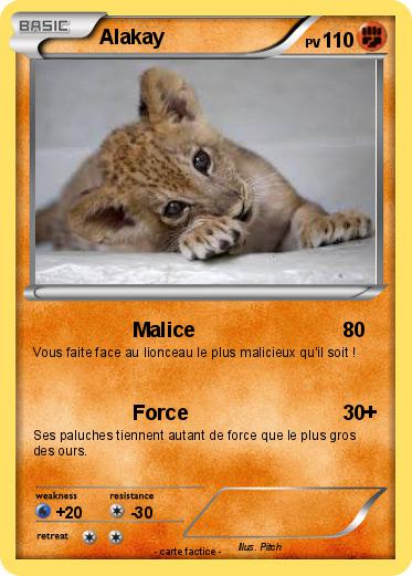 Pokemon Alakay