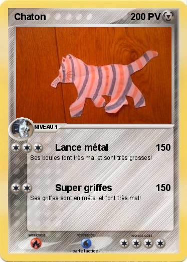 Pokemon Chaton