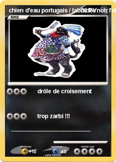 Pokemon chien d'eau portugais / labrador noir fat black chef