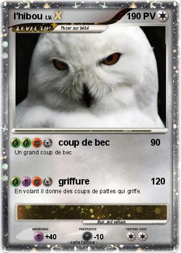 Pokemon l'hibou