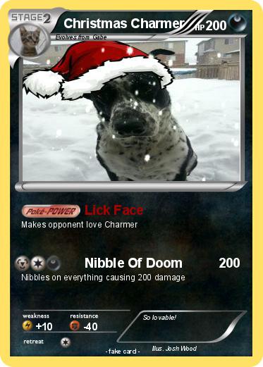 Pokemon Christmas Charmer