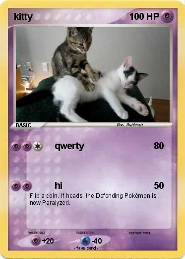 Pokemon kitty