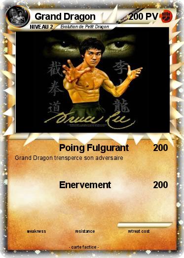 Pokemon Grand Dragon