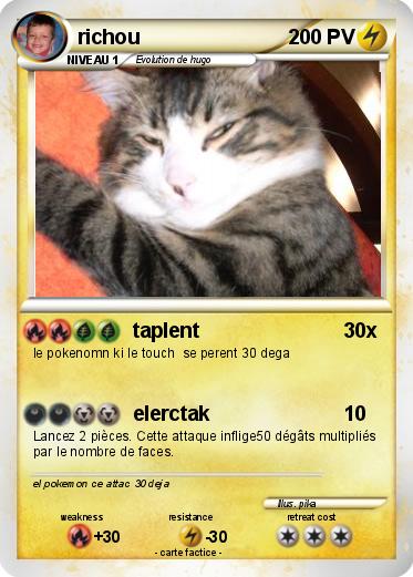 Pokemon richou