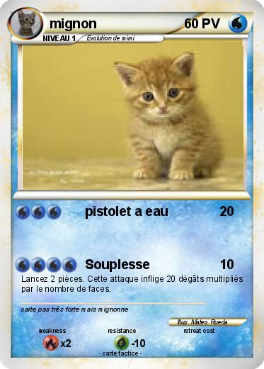 Pokemon mignon