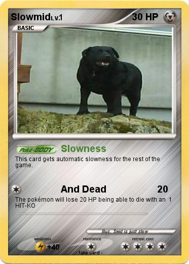 Pokemon Slowmid