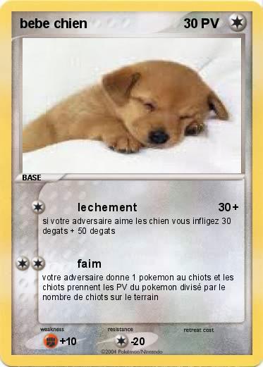 Pokemon bebe chien