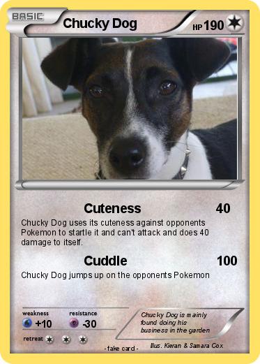 Pokemon Chucky Dog