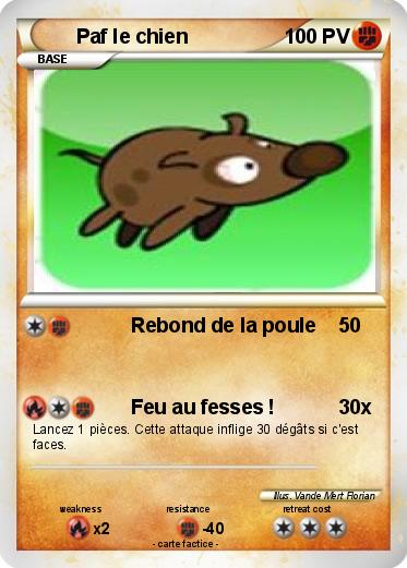 Pokemon Paf le chien