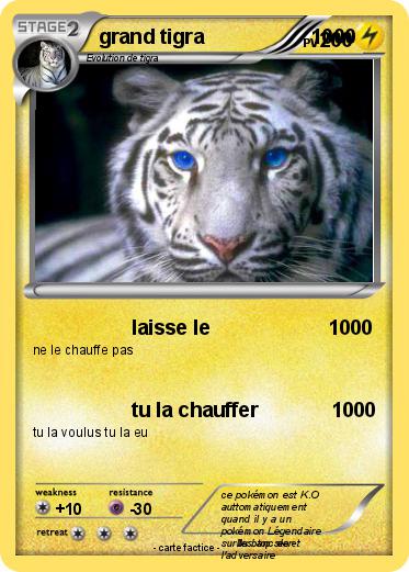 Pokemon grand tigra                   1000